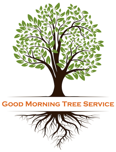 Good Morning Tree Service Logo