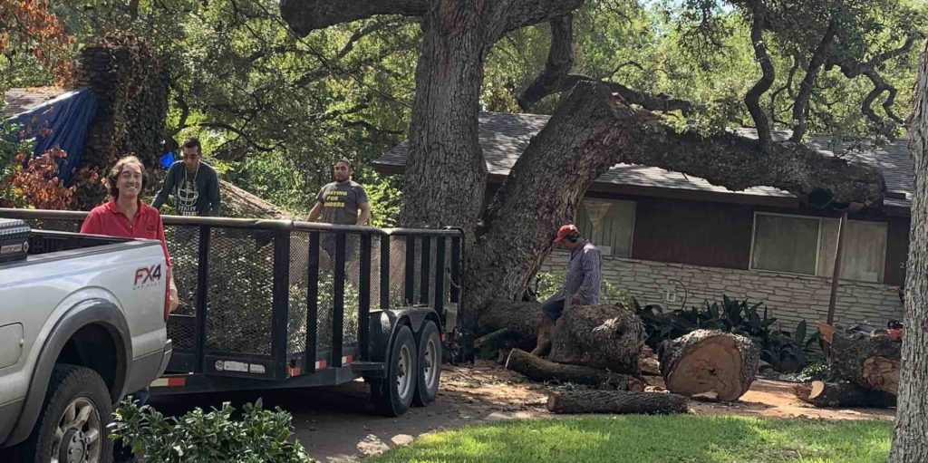 Picture of Good Morning Tree Service emergency tree removal in Austin, TX