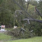 Photo of a tree that has fallen onto a powerline
