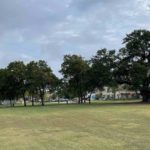 Photo of Heritage Park trees in Cedar Park, TX