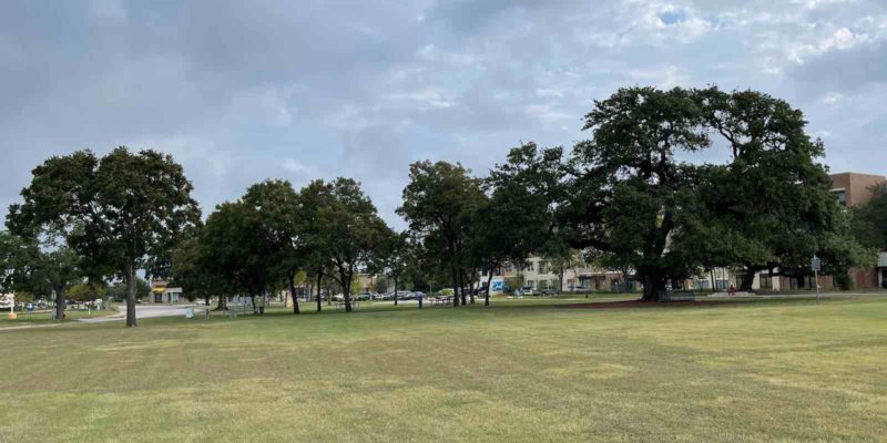 Photo of Heritage Park trees in Cedar Park, TX