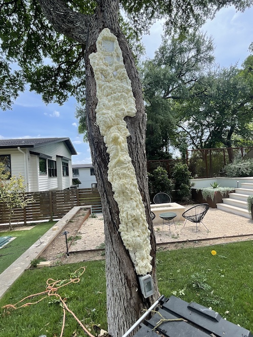 Repair Large Holes in Tree Trunks A Good Morning Tree Service