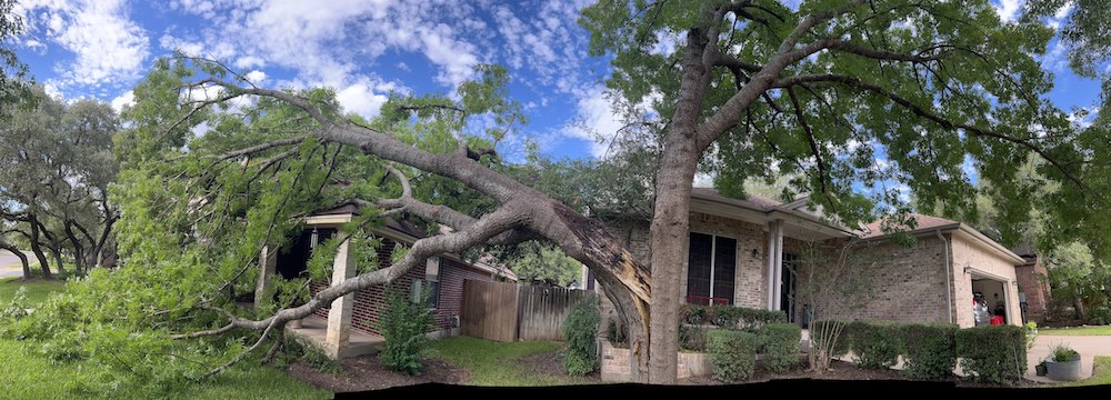 Photo of a fallen tree in Georgetown TX - emergency removal by A Good Morning Tree Service