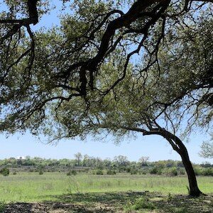 AGMTS Land & Lot Clearing Service