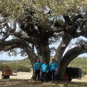 Photo of a heritage tree in Wimberley, TX with AGMTS crew