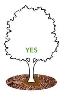 Graphic showing the proper way to layer mulch around a tree.