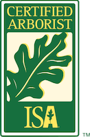 International Society of Arboriculture (ISA) Member Badge