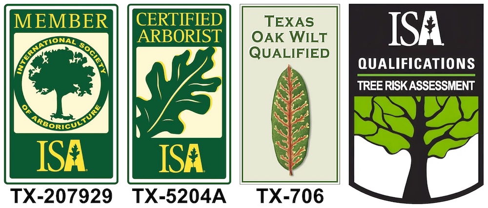 Graphic showing ISA certification badges of A Good Morning Tree Service in Austin, TX: Certified Arborist, ISA Member, Texas Oak Wilt Qualified, Tree Risk Assessment
